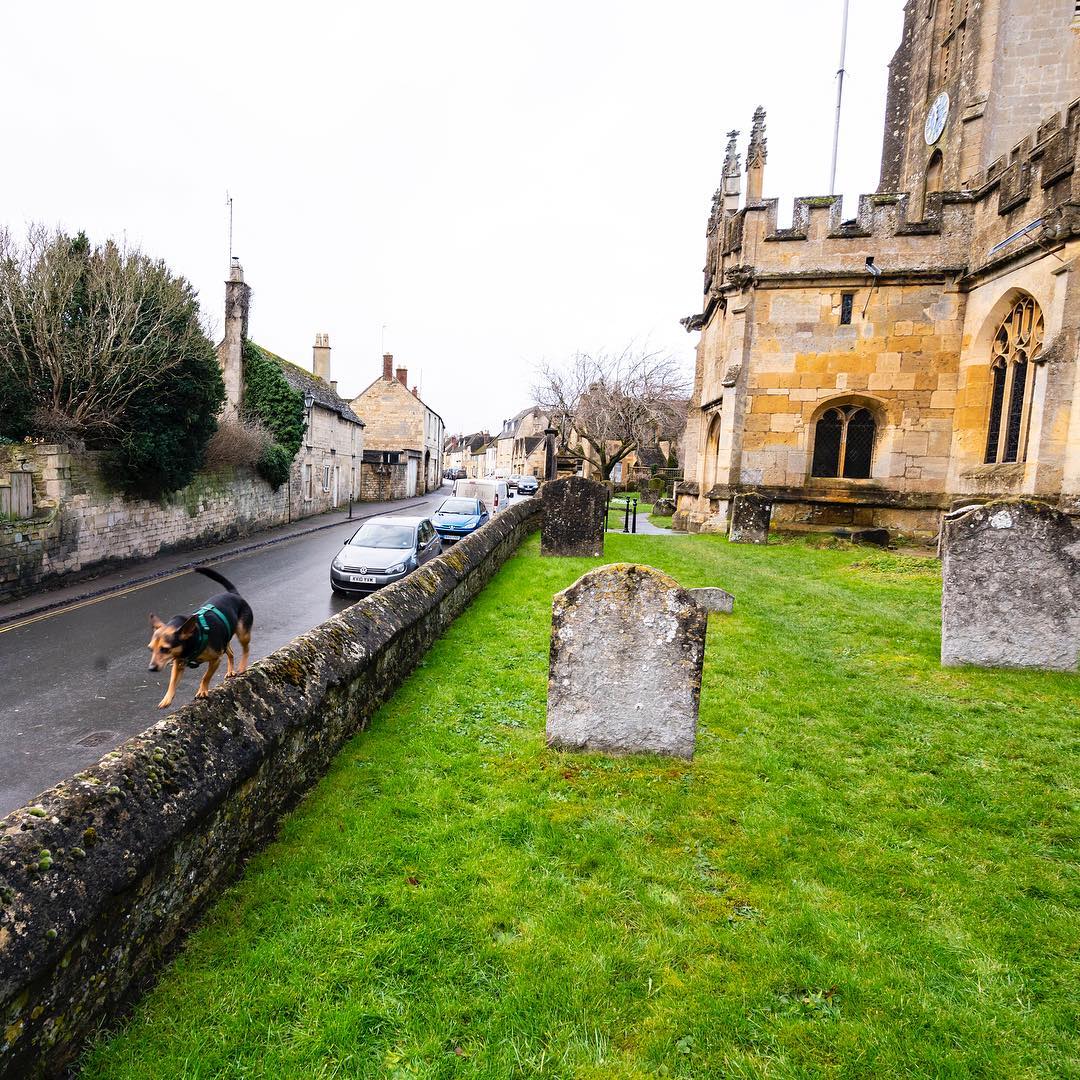 bonus here is Dina the Dixie Doggo being frighteningly precarious on the S wall of the parish churchyard on our visit with  @mavcor_yale and  @megbernstein last year. good times https://www.instagram.com/p/Buq0202BEpS/ 