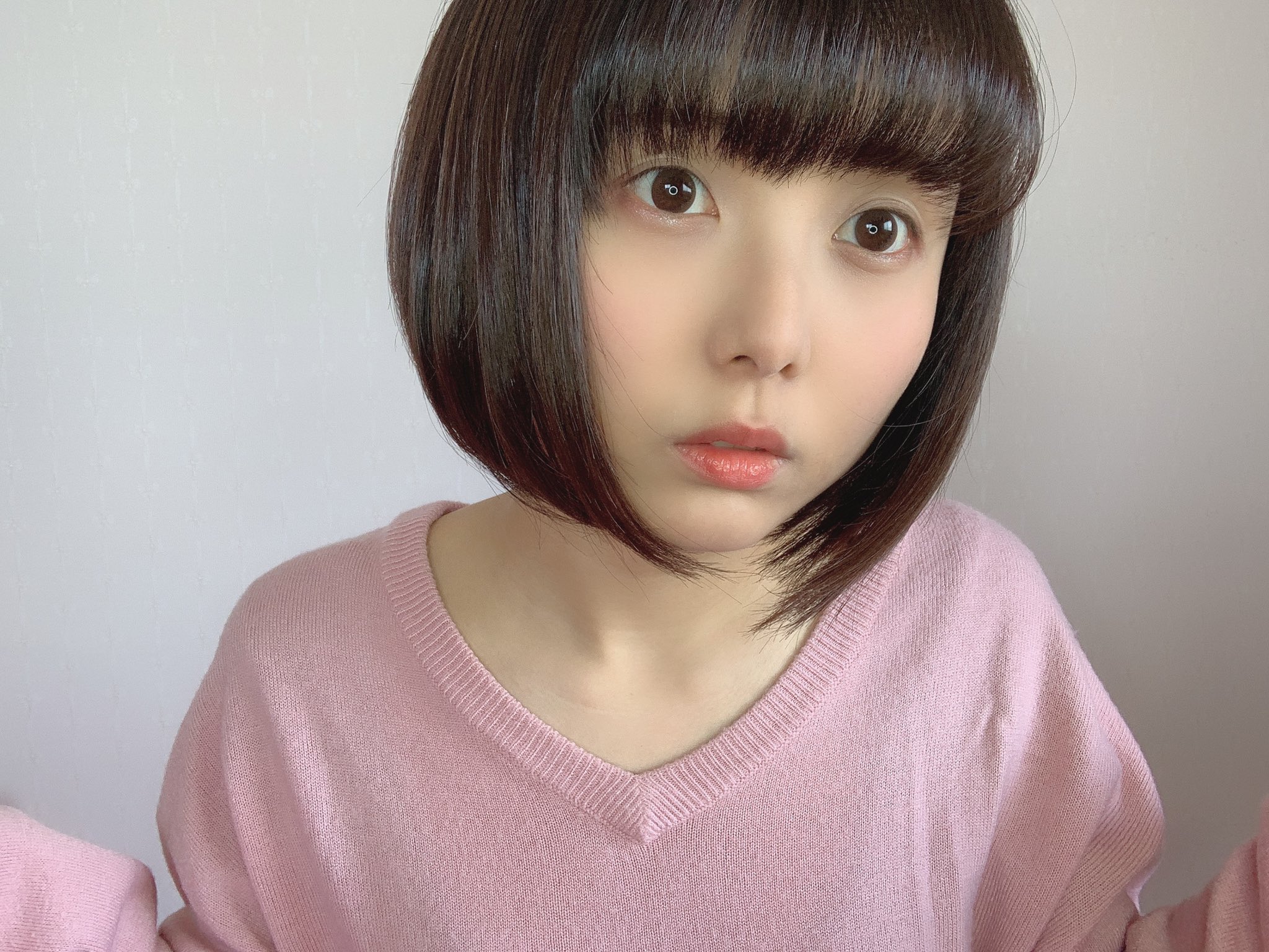 はむちゃん ハムちゃん大感謝祭シンプルデザイン / まさかのさむかわ