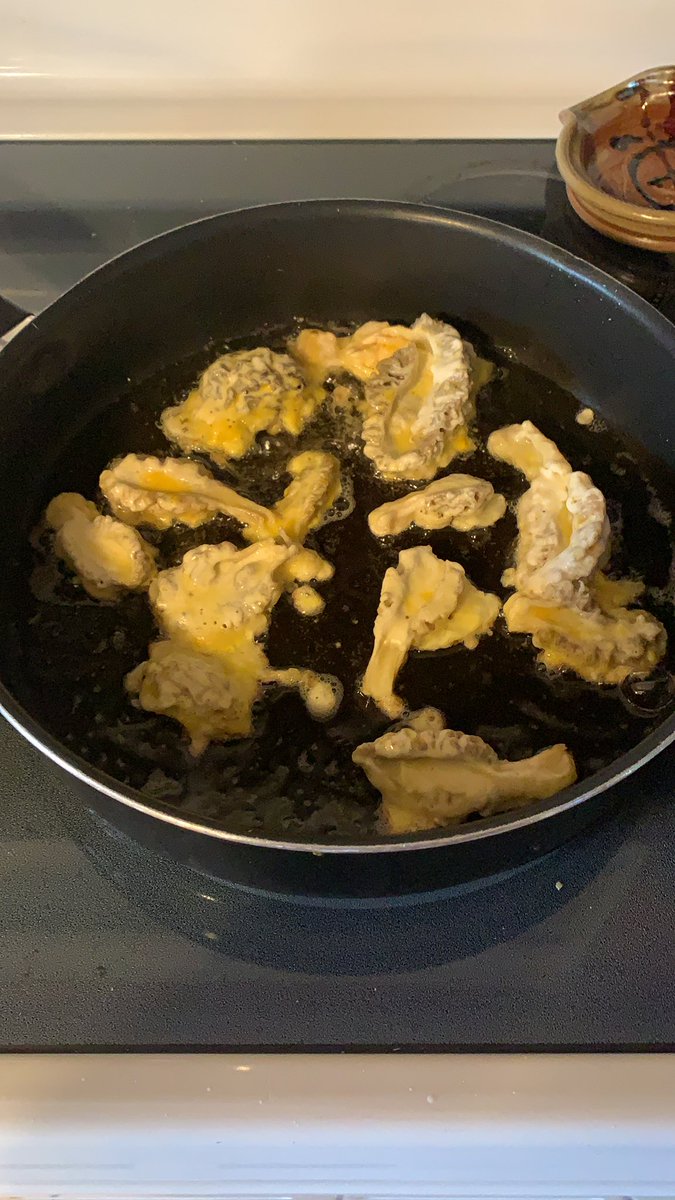 Got to love wild mushrooms