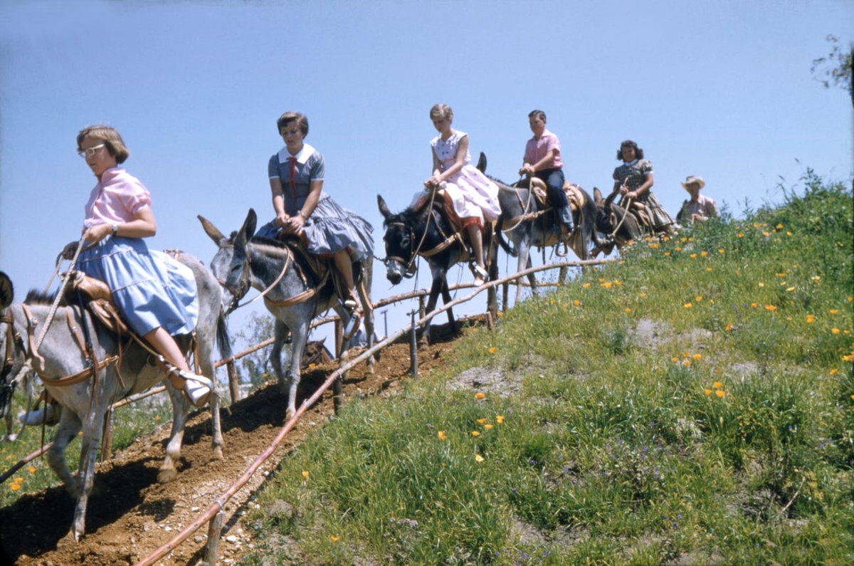 Disneyland featured a ride where you could literally ride horses at the park. Real horses! 