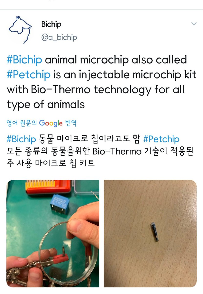 Bodycurll's tweet image. New World Order...