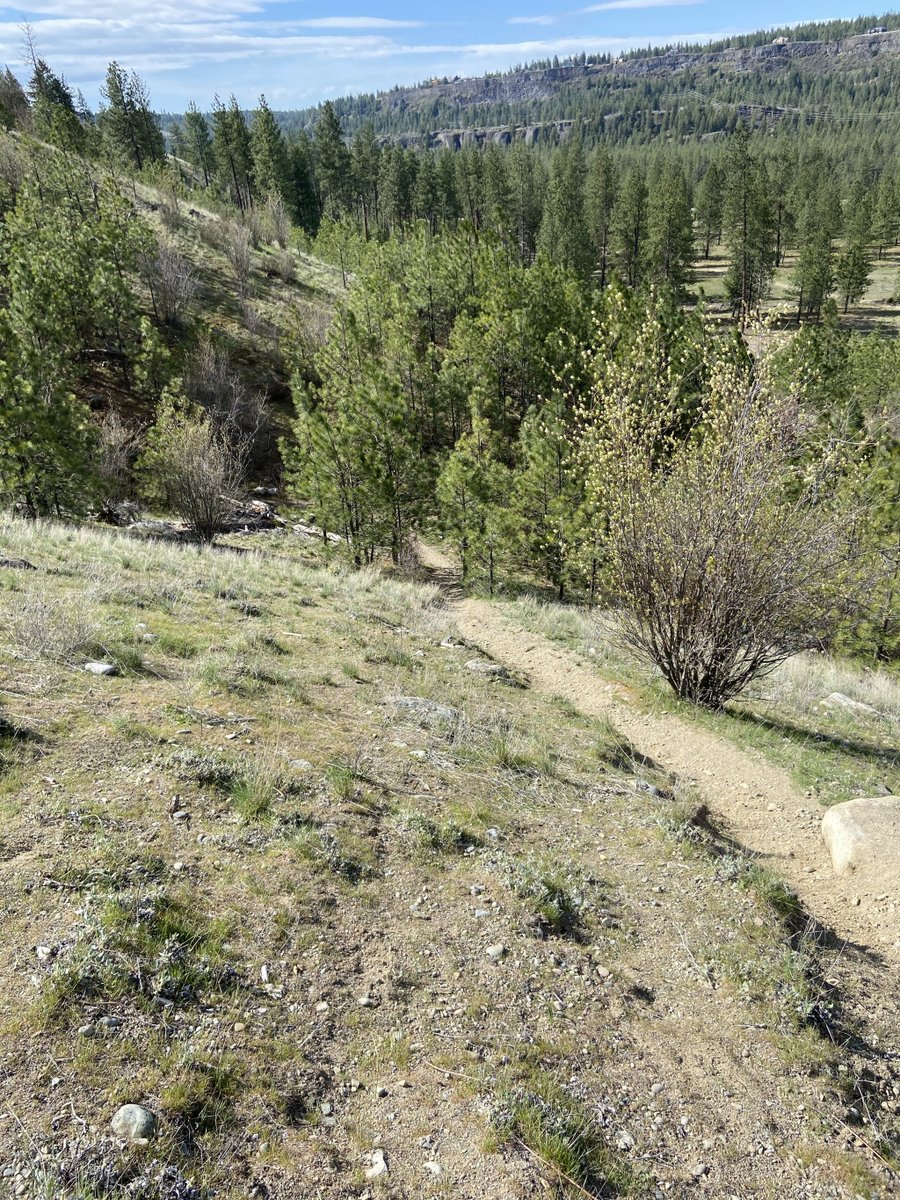 presnell_jb's tweet photo. Downhill Trail Running https://t.co/xdrIeYC4Gh https://t.co/EZKBFqg7KV