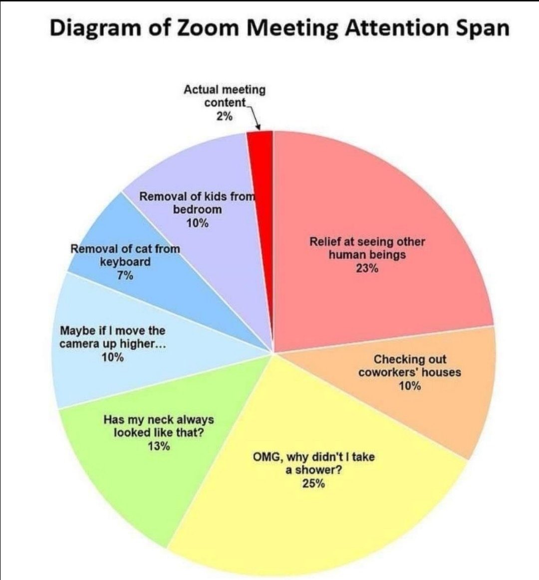 Zoe Nelson tweet media