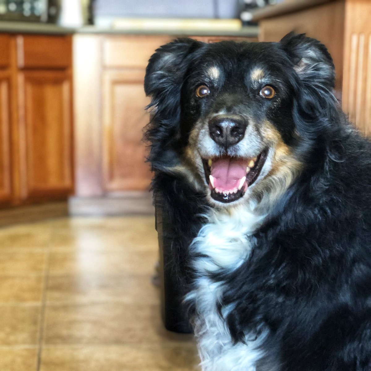 Sheila | Exploring The Prime tweet media