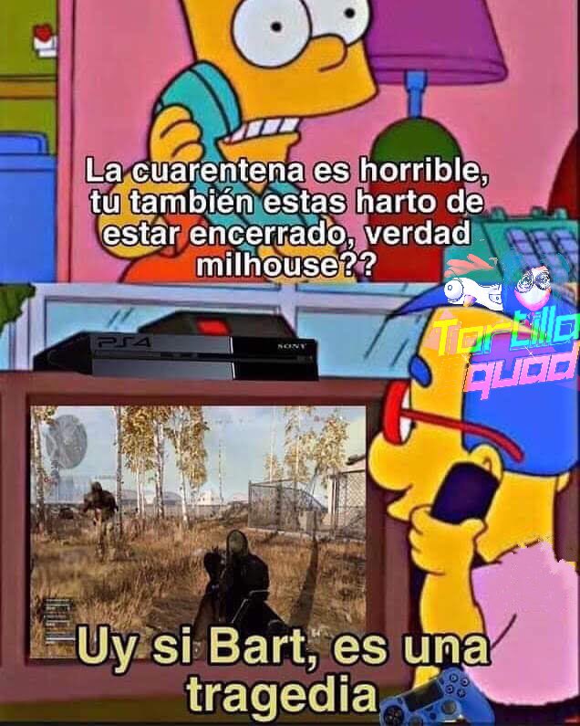 Tortilla Squad tweet media