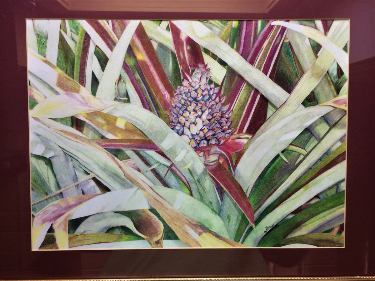 AreaGuild's tweet photo. Melinda Bitzel
“Pineapple”
colored pencils
NFS

It's amazing what can be done with colored pencil, great piece Melinda!
#hanoverareaartsguild #hanoverpa #coloredpencil https://t.co/IpqGpVkVAi