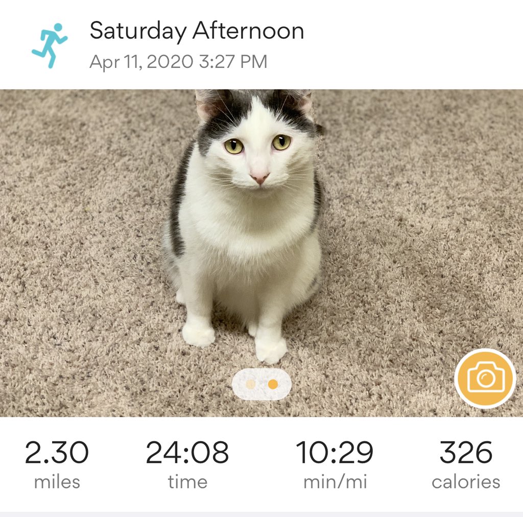 Hello <a href="/MustangRunClub1/">Morton Mustang Run Club</a>! Since the Easter Bunny was too busy right now, my PC (Personal Cat), was here to make sure I stretched out after running. 😺🐇🥚
