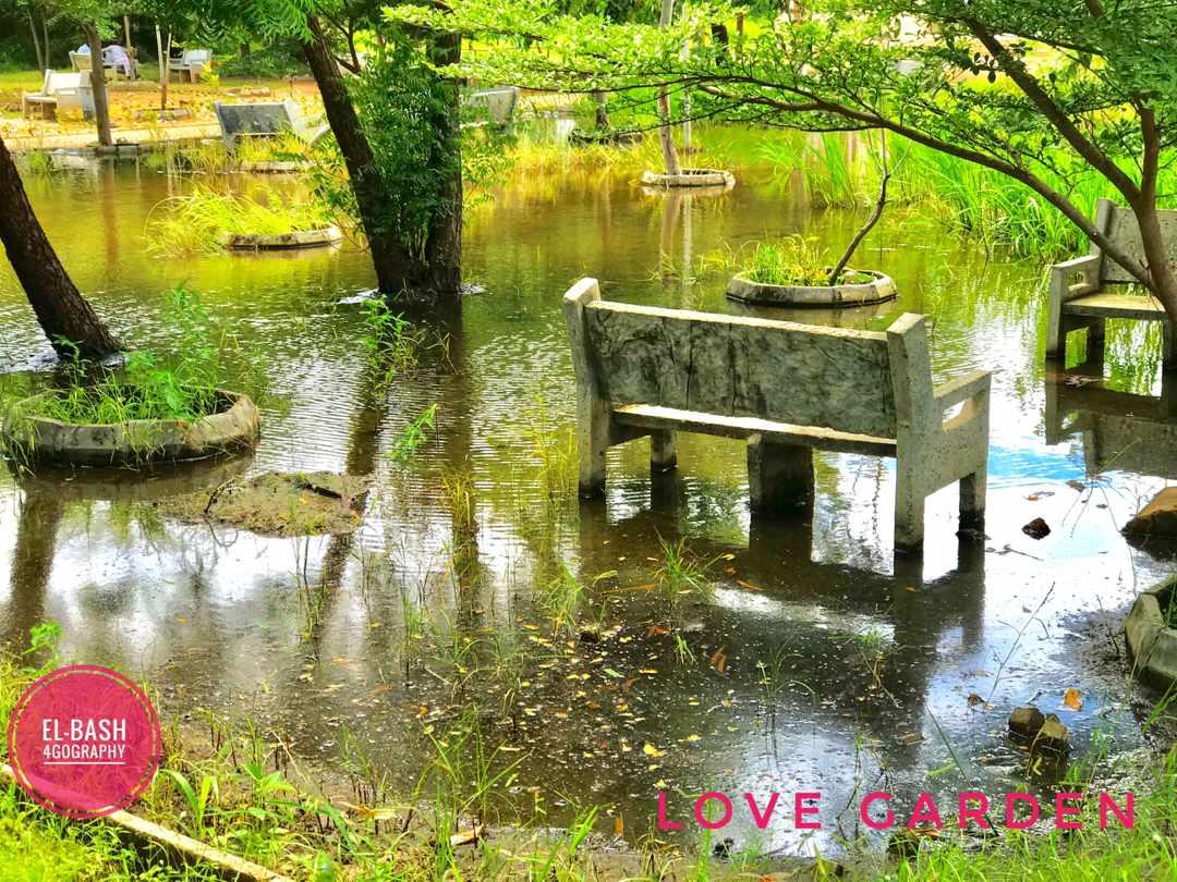 FUD_Parrot's tweet photo. We call it love garden💓💓😍
But during raining season we call it .......
Only #FUDITE can relate https://t.co/D42ljdaNPo
