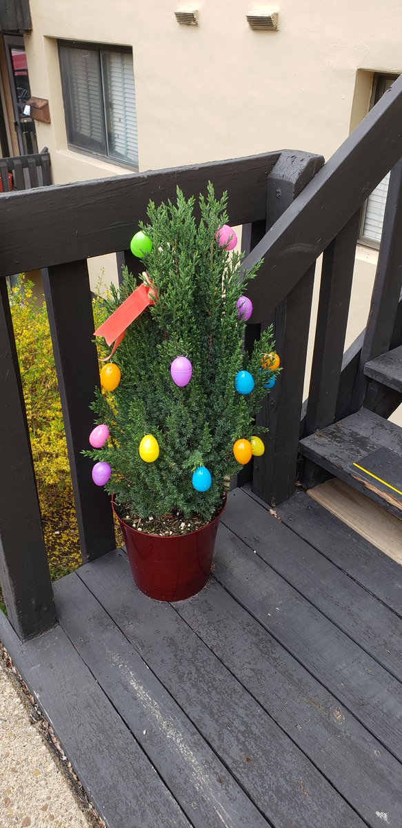 Sean Mcdowell tweet media