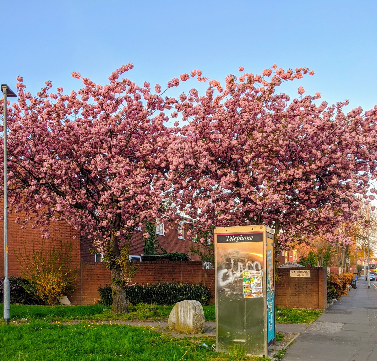 Eden__T's tweet photo. #Spring #Manchester #8pm https://t.co/8wDmCJJRn1