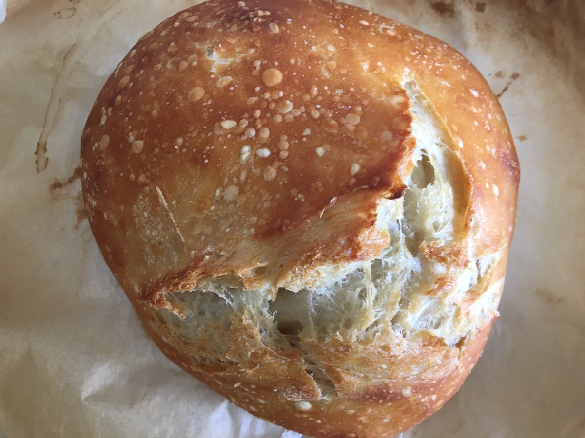 LadybugGehrett's tweet photo. @kumailn First attempt, could use some more bake time. But I have plenty of time to work out the kinks for future loaves. https://t.co/HQEEoyfRai
