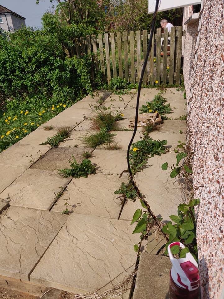 SarahShoulder's tweet photo. I lost my dad to Covid-19, on Wednesday, today I decided to make a start on my garden again. It's been neglected the last few years as my time has been taken up helping care for my parents. It was something my dad loved to help me with. Day 1 https://t.co/0qBHOAqByq