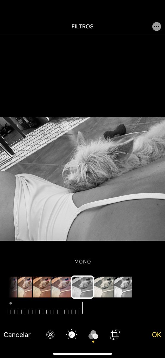 nereeaa_1's tweet photo. La cuarentena va a acabar con nosotros🥴🥴 https://t.co/PtygRiLHlN