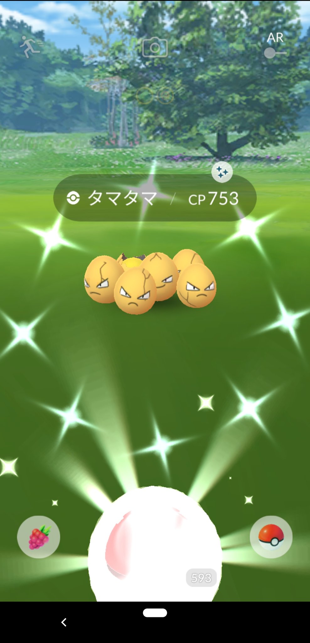 ひぃちゃ 님의 트위터 またまたタマタマがたまたま光った ポケモンgo 色違いタマタマ T Co 2i3syawj3h 트위터