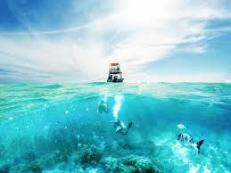 UnicDesignPDC's tweet photo. Pon en tu lista visitar #Cozumel en cuanto pase la contingencia sanitaria.
.
https://t.co/3ioWoOEsjL
#UnicDesign #playadelcarmen #Hotel #playa https://t.co/KFNT3MuPmd