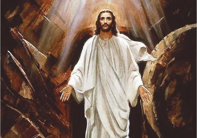 HdadPerdonArcos tweet picture