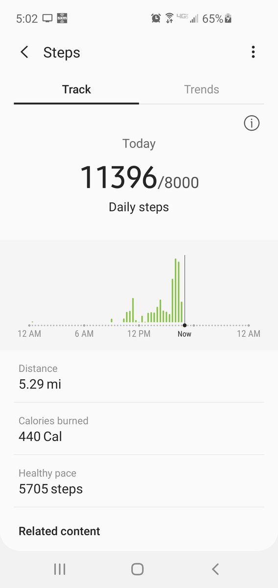 hillbilyankee72's tweet image. #10kstepchallenge