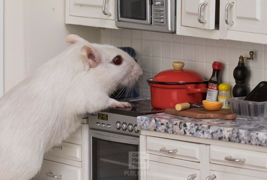 GerbMeetsMouse's tweet photo. #gerbil #gerbille #rement #rementjapan #dollshouse #dollhouseminiatures #stayhome #stayhomechallenge #stayhomestaysafe #animalsdoingpeoplethings #animalsplaying #babyanimals #petsofinstagram #petsofig #gerbilsofinstagram #rennmaus #gerbilsofinsta #dailyf… https://t.co/1Zczc5HDwO https://t.co/6i9ZgUWaCe