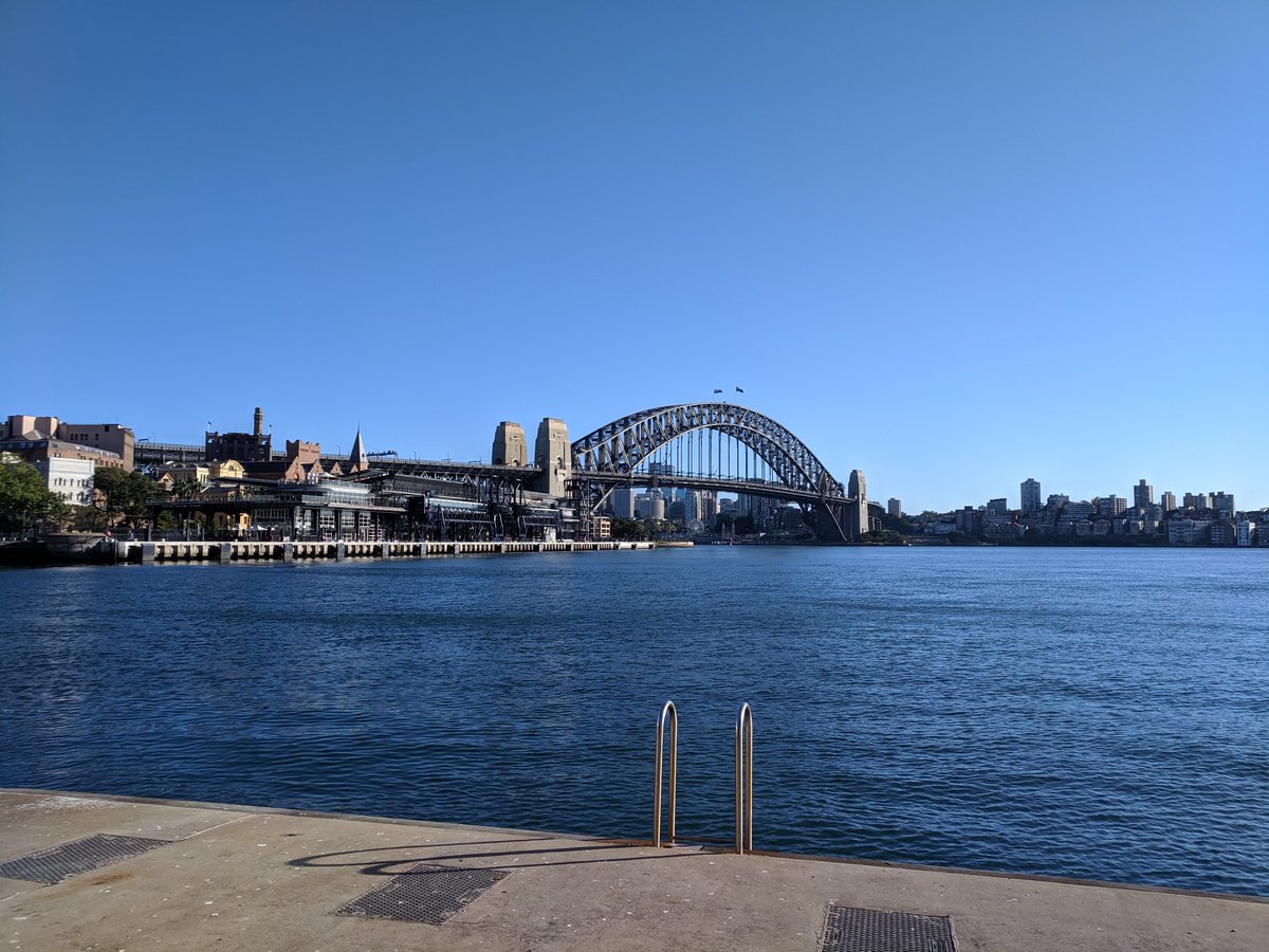 ZaneHannan's tweet photo. Circular Quay, but all the people are actually pigeons https://t.co/UntrnVLrpW