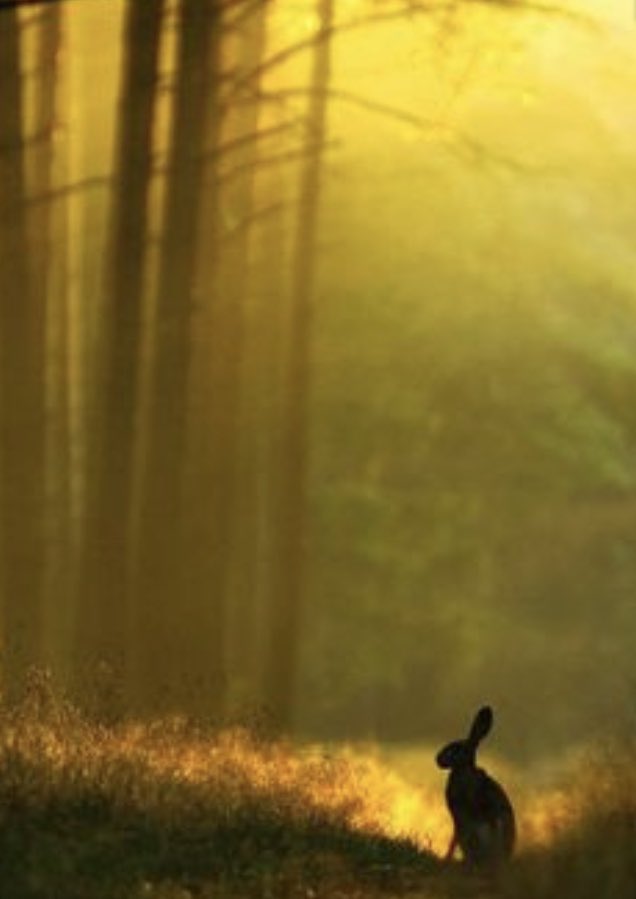 Happy Socially Distanced Easter.