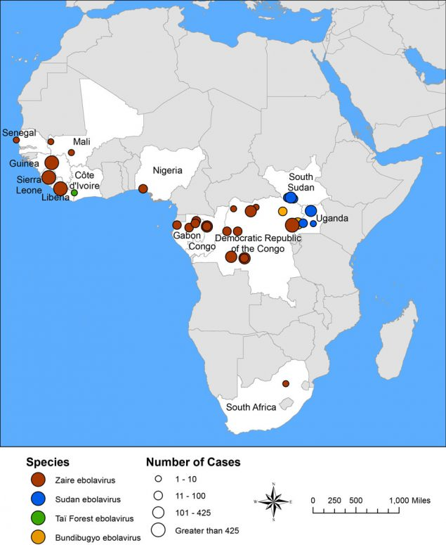 Se me quedo el brote de  #Ebola de 2014-2016 que mató a más de 11,300 personas, la gran mayoría en África