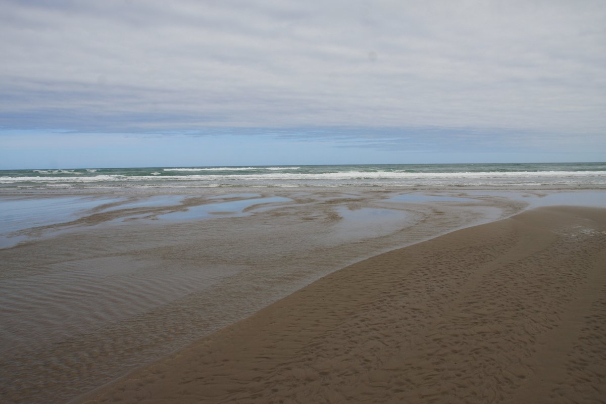 Standing on Herbertville beach, you are just about as close to the Chatham Islands as it is possible to get in mainland New Zealand. The Chathams are somewhere out there 650km to the southeast.