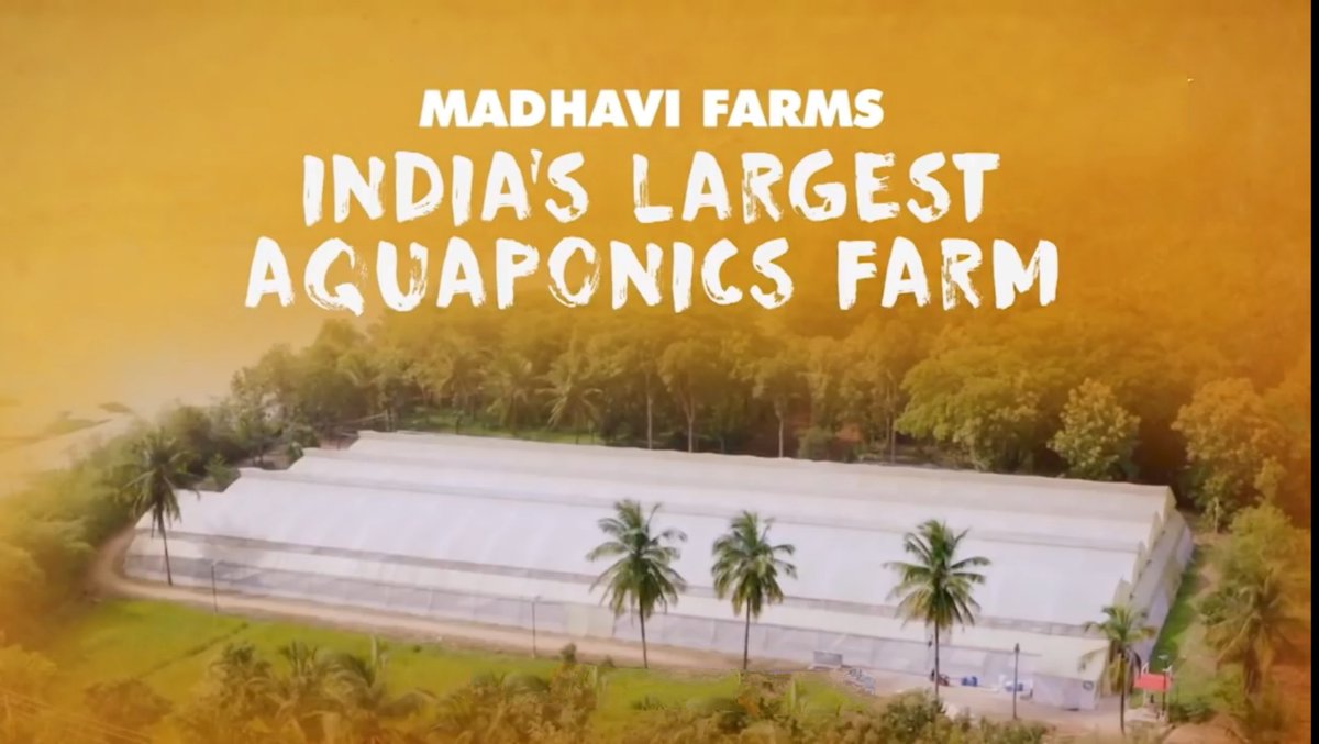 OmgMera's tweet photo. AQUAPONICS FARM:-

A vegetable can grow in water too and that too in a waterbody full of fishes don't be confused.

The plants you see here are growing above the fish tank not in soil and this technique is known as Aquaponics.

READ THE FULL ARTICLE AT:-
https://t.co/HkC3cCJMfc https://t.co/v4YptKWSkQ