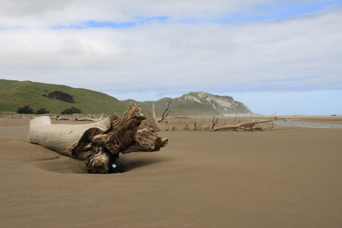 You can tell there are big seas here. The driftwood is amazing.
