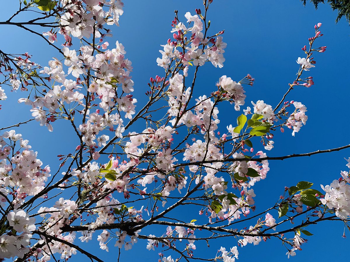 Heather Knight tweet media