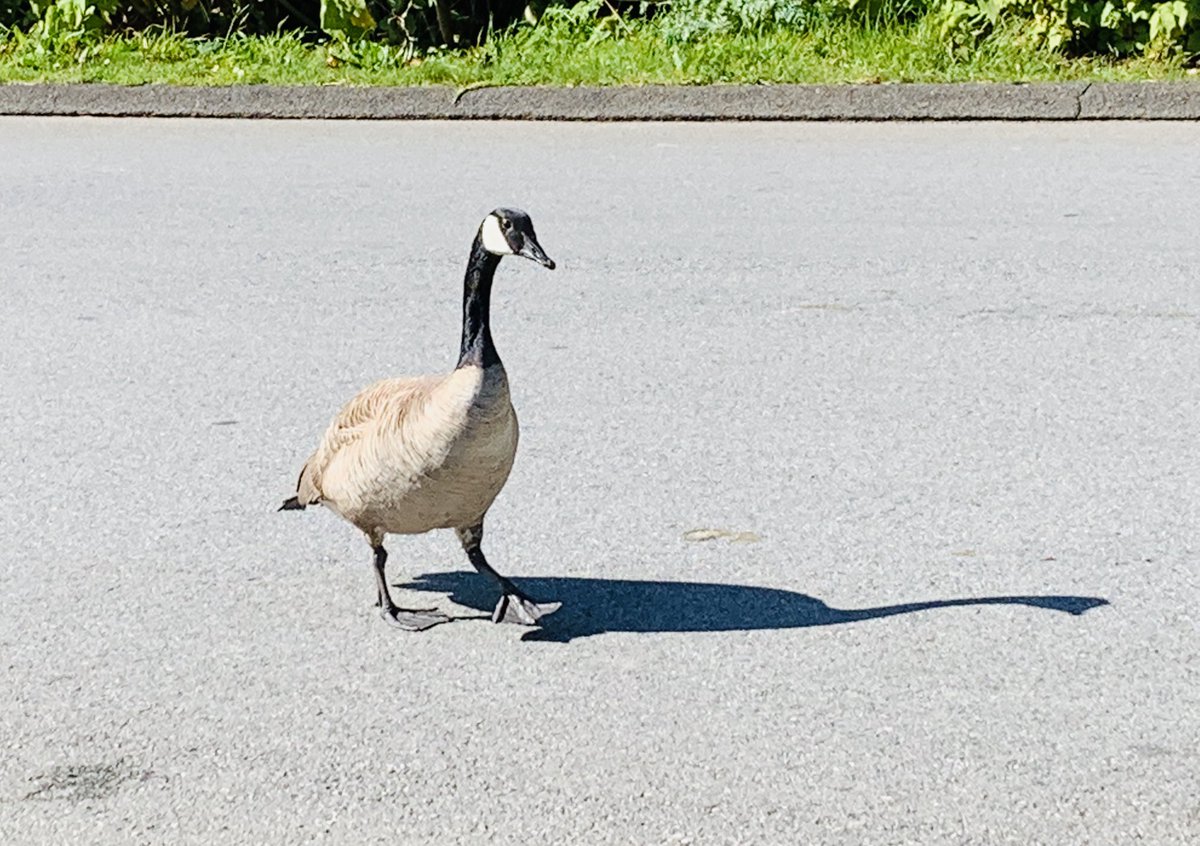 Heather Knight tweet media