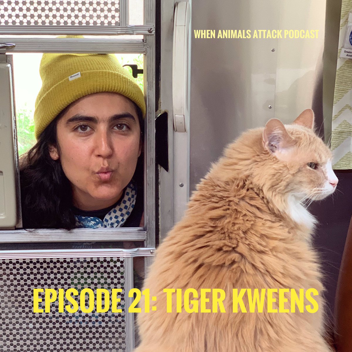 animalattackpod's tweet photo. Episode 21: Tiger Kweens is now available wherever you get your #podcasts! In this ep, Jen &amp; Nilo share stories of a recent mountain lion attack and the notorious Zanesville Massacre, before hashing out their reactions to #tigerking. https://t.co/yD23tzUiNm