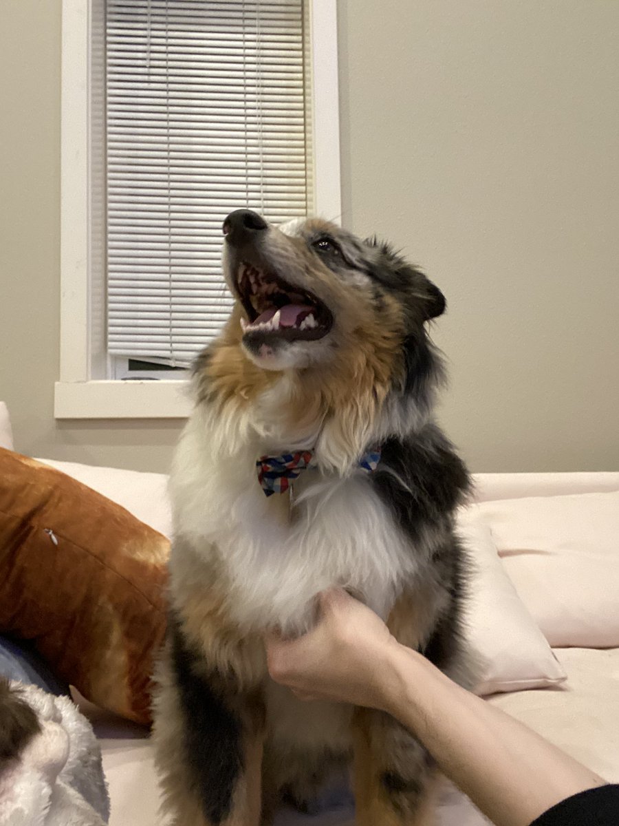 Kaypud's tweet image. Real good boy hours who up