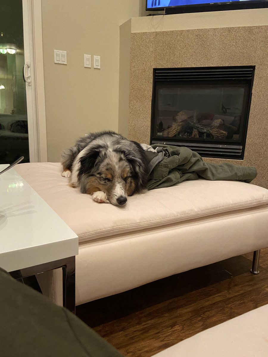 Kaypud's tweet image. Real good boy hours who up