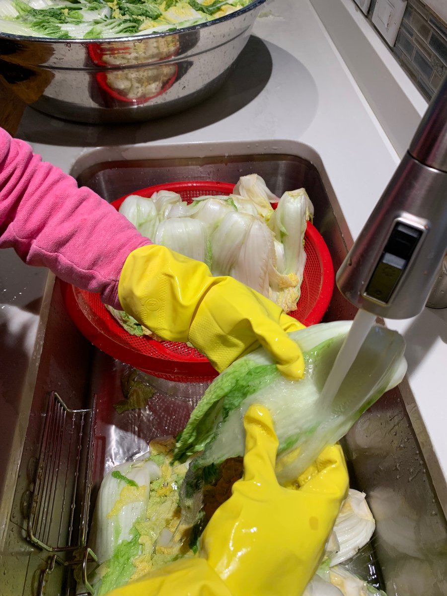 Now we’re rinsing the cabbage. V carefully between the leaves, one by one. “You just watch.” I am not trusted with this, apparently.