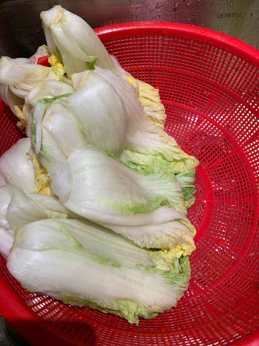 Now we’re rinsing the cabbage. V carefully between the leaves, one by one. “You just watch.” I am not trusted with this, apparently.