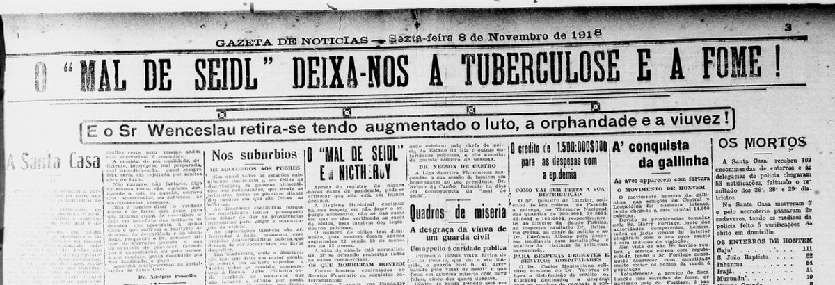 A Gazeta de Notícias praticamente adotou o nome "Mal de Seidl" para falar da influenza espanhola. Em toda oportunidade, esse era o nome da doença. Até peço para alguém ajudara explicar a motivação de tanta oposição da Gazeta ao governo Bráz. Quem era o dono, a quem atendia, etc..