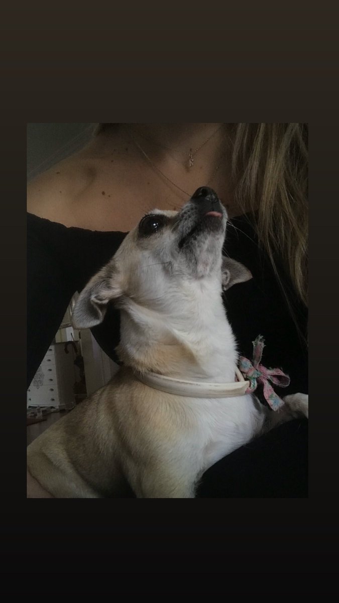 𝐑 𝐀 𝐐 𝐔 𝐄 𝐋 🦋 tweet media