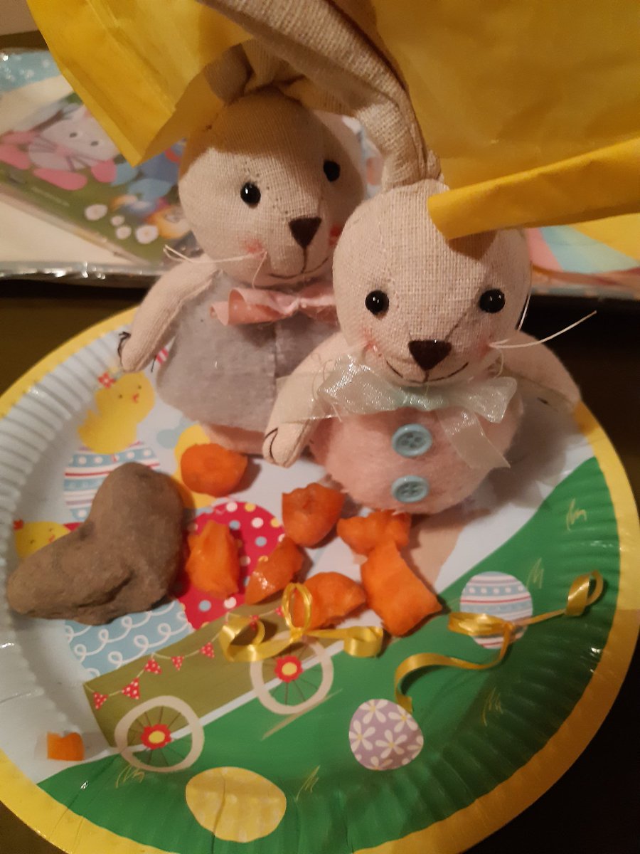 Dorothy Molloy ✍️📜✍️🐊 tweet media