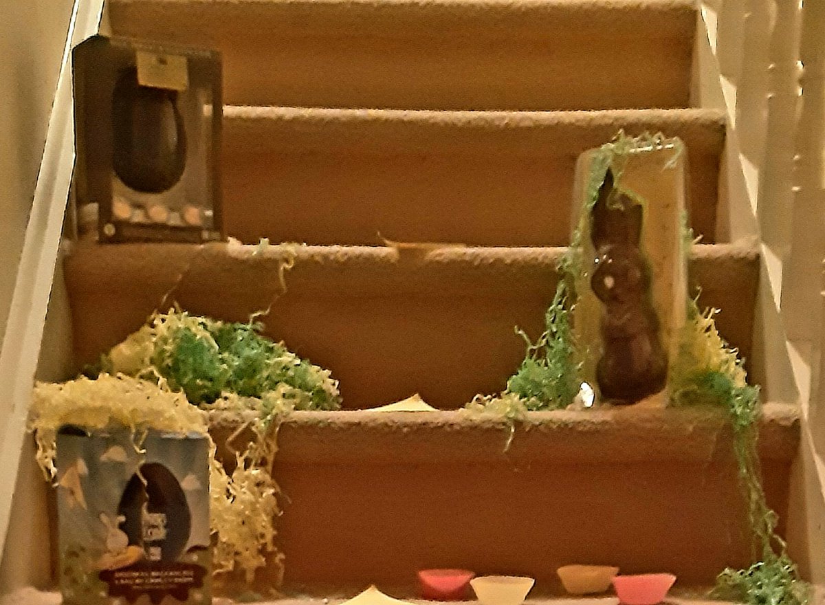 Dorothy Molloy ✍️📜✍️🐊 tweet media