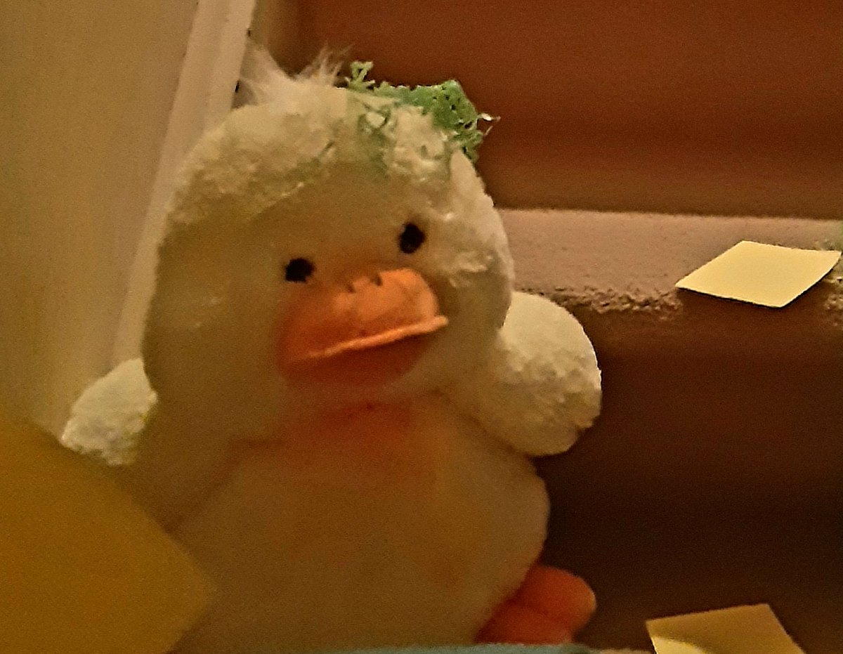 Dorothy Molloy ✍️📜✍️🐊 tweet media