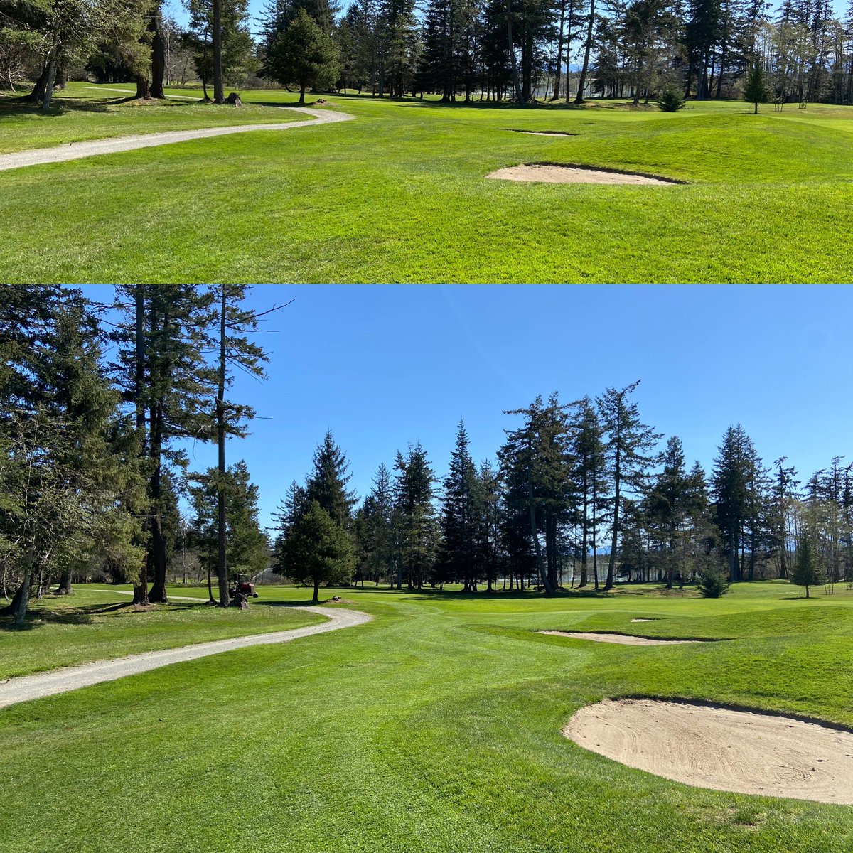 New slice of fairway short of the fairway bunkers on #2 <a href="/GolfGG/">Glacier Greens Golf Club</a>. Top pic before, bottom pic after.