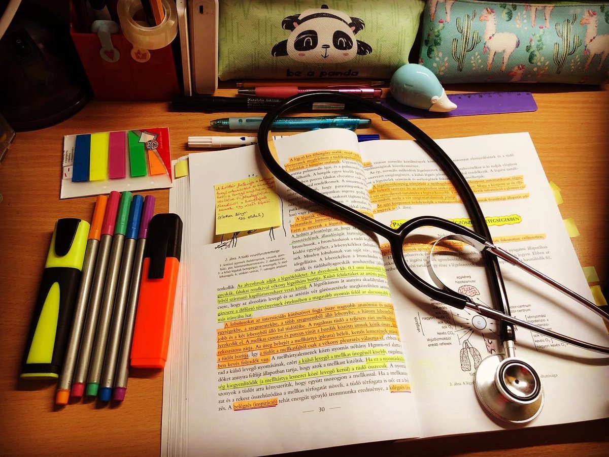 budai96's tweet photo. 夢をかなえます！もっと一生懸命勉強します！
I will study harder!  And... Make my dreams come true!!! 👩🏻‍⚕️📖💻💉🧠🙏
 #解剖学 #学生 #幸せ #勉強垢　#看護師 #看護学生 #大学生 #ハンガリー #日本語  #病院 
#nursingstudent #studygram #motivation #studymotivation #dream #stethoscope https://t.co/qwHkg74MWj