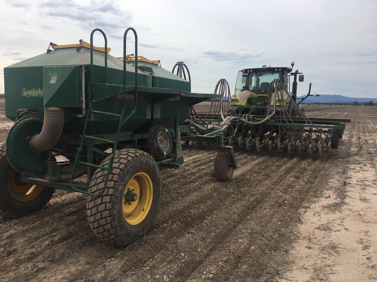 PBI Narrabri (@pbinarrabri) on Twitter photo We are underway with the 2020 wheat planting. We are underway with the 2020 wheat planting.
