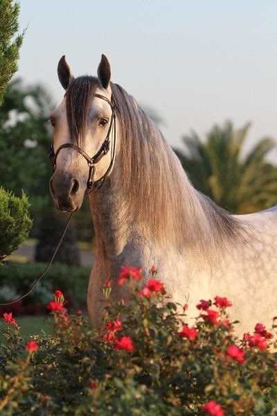 fulbtc's tweet photo. _ وٱن عذربوكك ٱلاوٱدم خل صدرك وسـيع 
مٱعذرب عنٱقيد ٱلعنب غير ٱلذي مٱ طٱلھٱ 😌 https://t.co/v94GiprxeA
