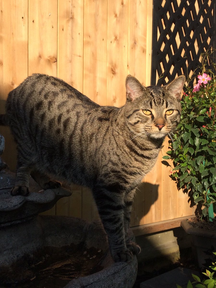 KerrieGalvin's tweet photo. @PascoSheriff Peebles! Crystal Beach Ontario 🇨🇦 https://t.co/ieKA7CiEVS
