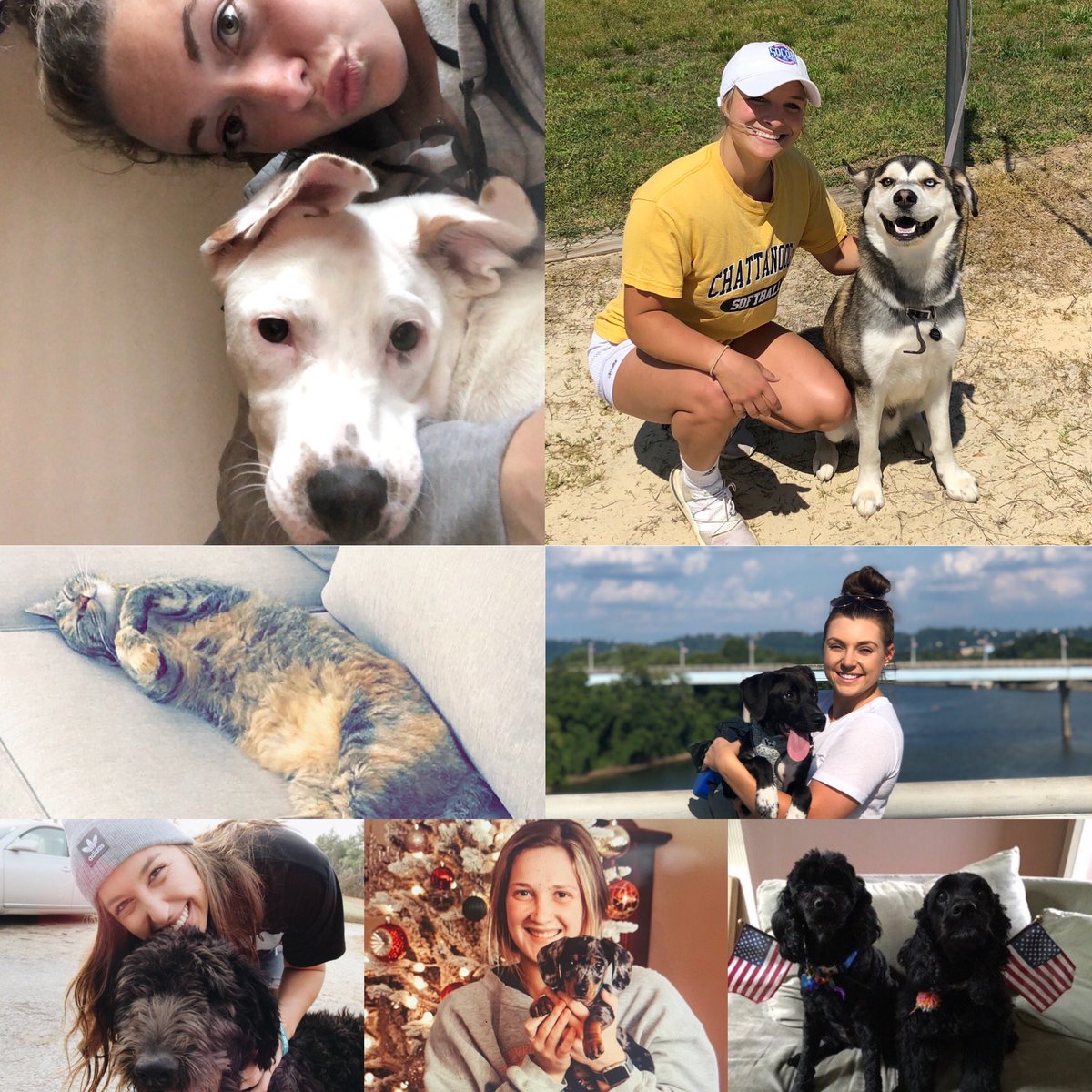 Happy #NationalPetDay! 🤩