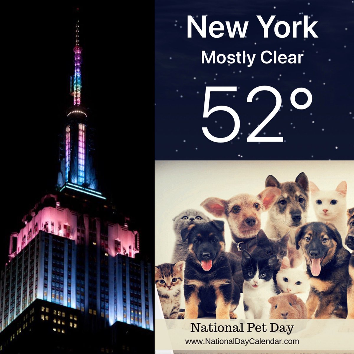 CorinnePulitzer's tweet photo. Even though the #AnnualEasterPsrade in #NYC has been cancelled &amp; temps are chilly, the #EmpireStateBuilding is dressed up in its #EasterBest with Pastels Colors right up to its “Bonnet” and #PetLovers are celebrating #NationalPetDay @EmpireStateBldg @NationalDayCal @NY1weather https://t.co/GYHEJE4nE6