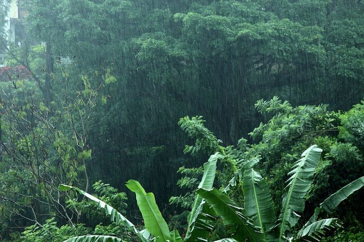 artemisinfurs's tweet photo. green truly is one of the prettiest colors https://t.co/Vw4VNhs8IA