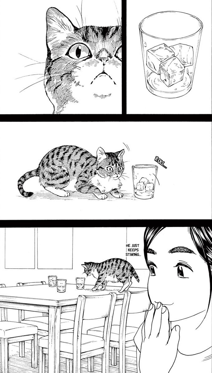 mangacaps — Kimi wa Houkago Insomnia // Makoto Ojiro