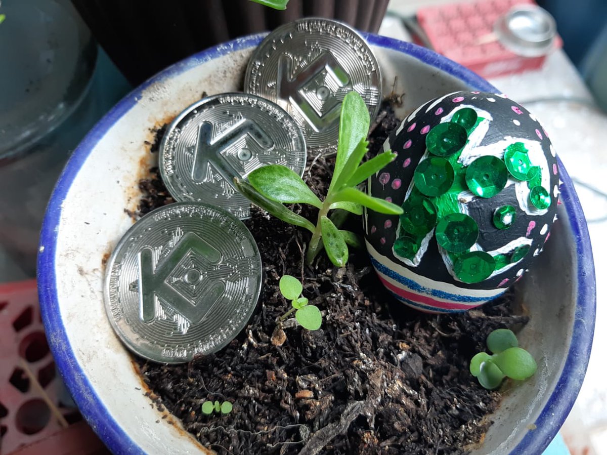 alex_gardu's tweet photo. #KuCoin 😎 #EasterEgg 🥚 $KCS 🚀 @KucoinSpain @kucoincom https://t.co/h7UF7PeI05